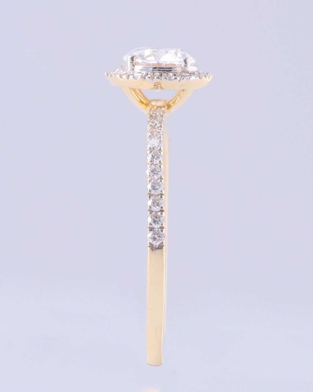 Chiara - Round Halo with Pavé Band Setting