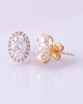 Clarrise Earrings