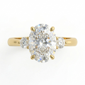 Eulia - Oval Trilogy Setting