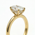 Eulia - Oval Hidden Halo Setting