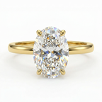 Oval Cut Hidden Halo Setting