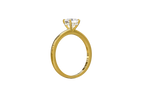 Round Cut Hidden Halo Setting