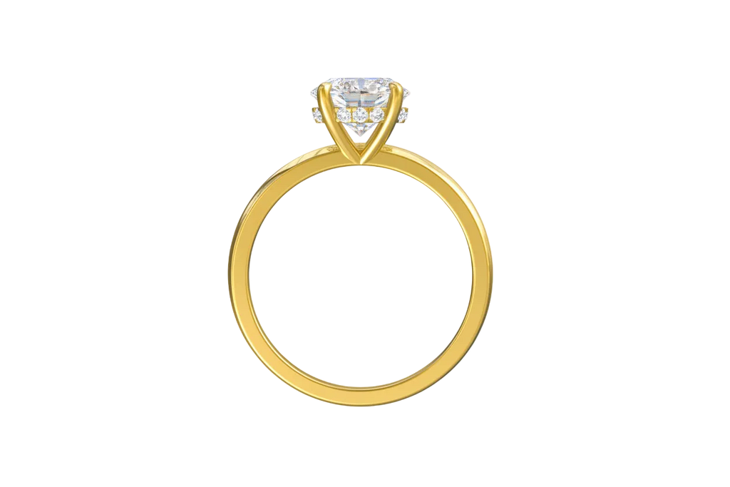 Chiara -Round Hidden Halo Setting