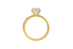 Round Cut Hidden Halo Setting