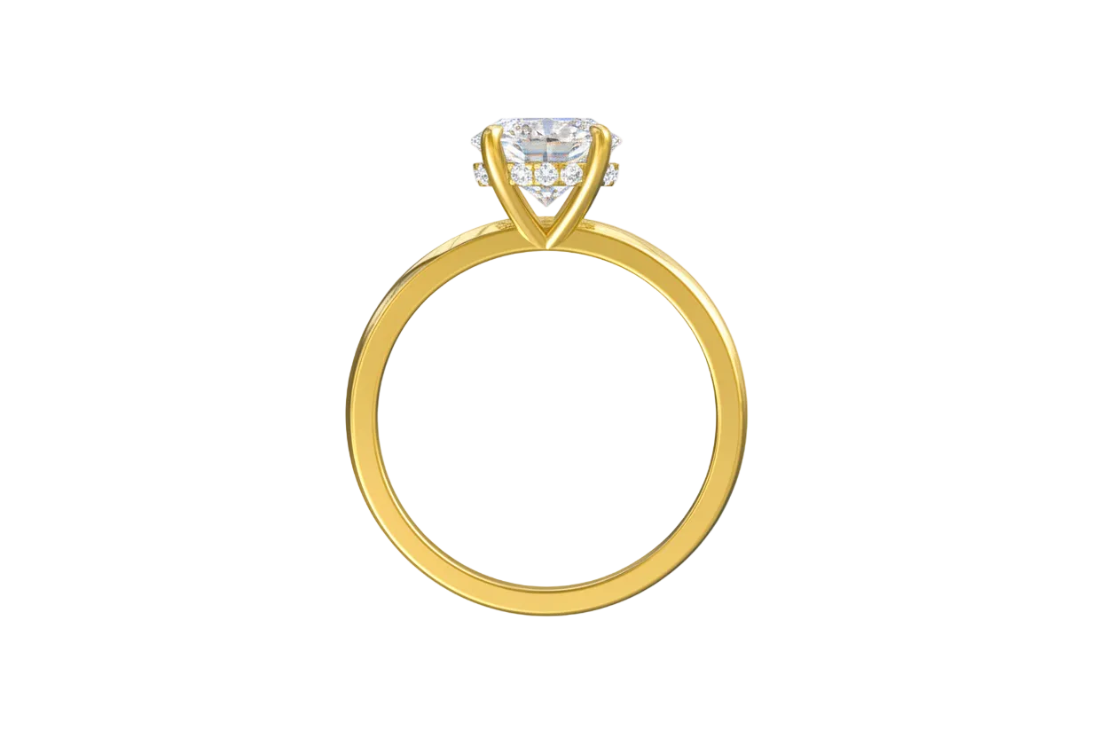 Chiara -Round Hidden Halo Setting