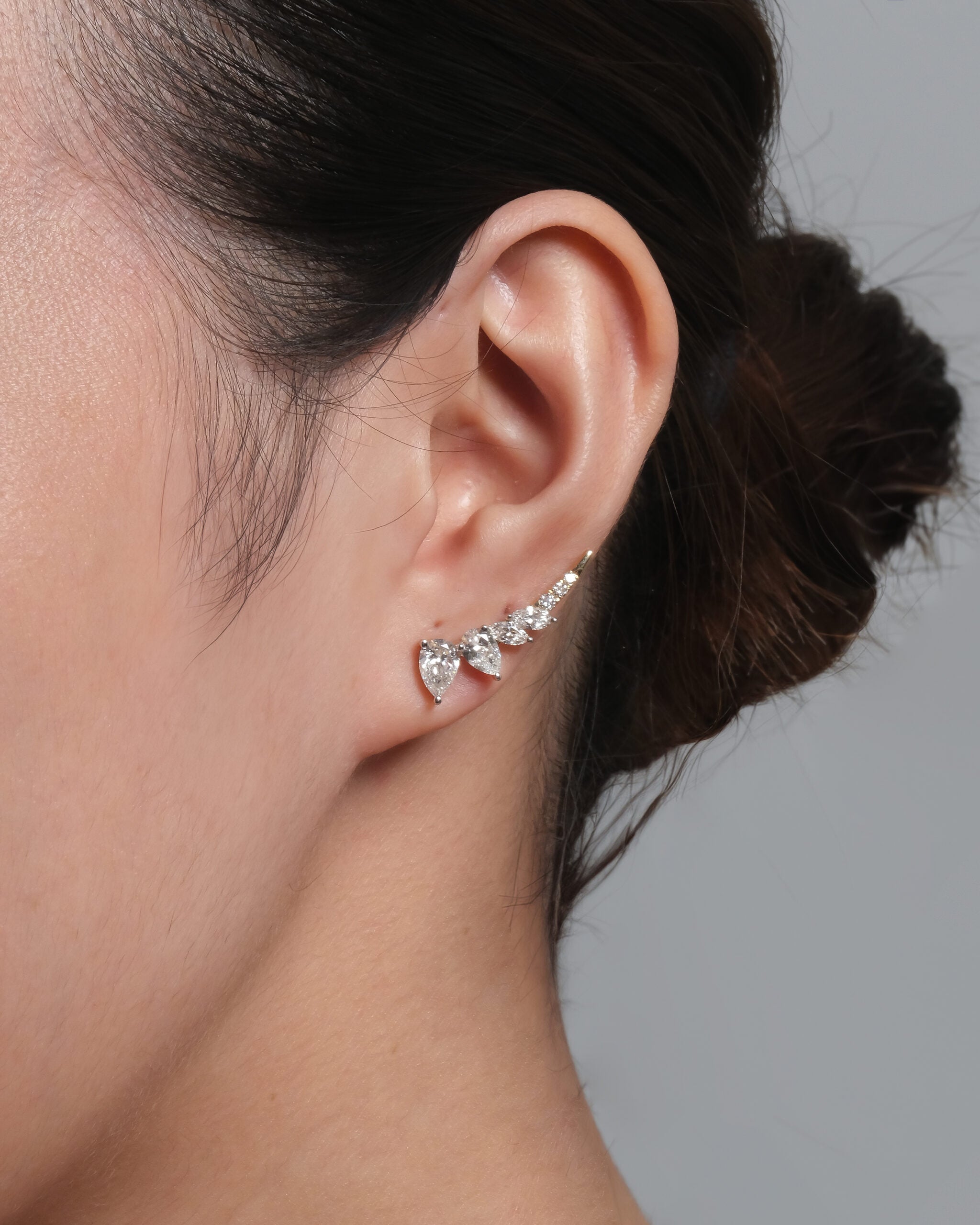 Zianna Earrings image 1