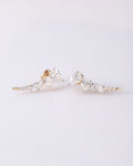 Zianna Earrings image 0