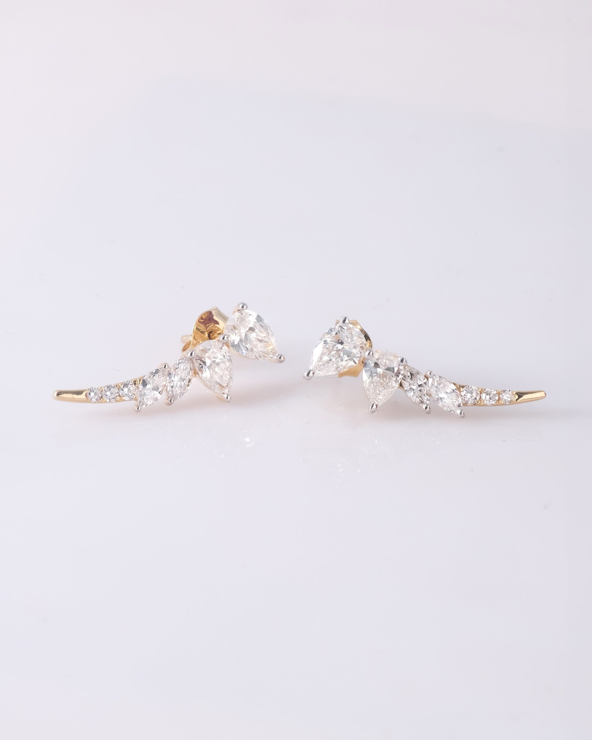 Zianna Earrings image 0