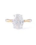 Philia Lab-Grown Diamond Hidden Halo Ring (3.0ct tw.)