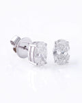 Kate Earrings