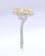 Elvoria Ring