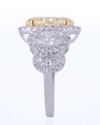 Oly Ring