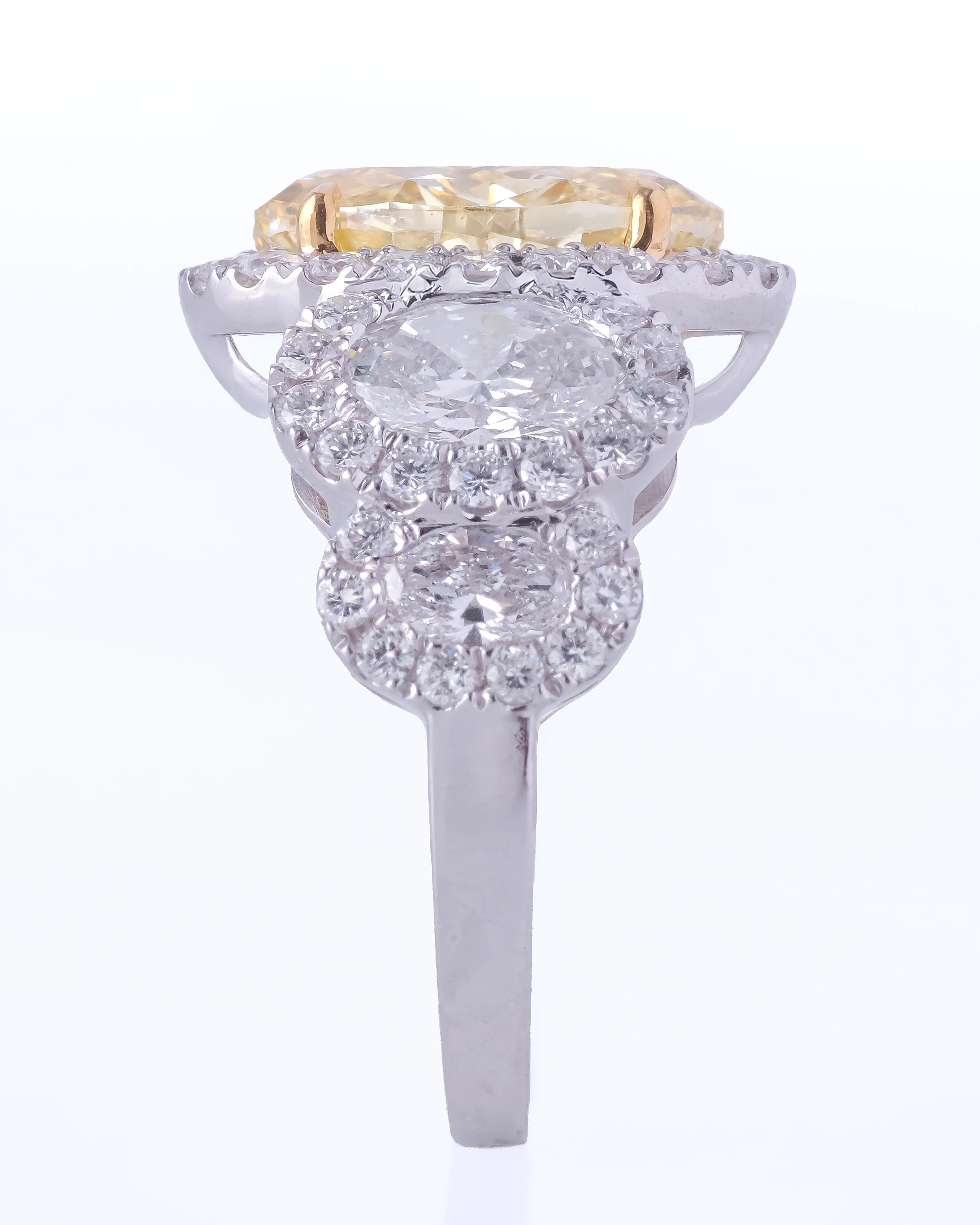 Oly Ring